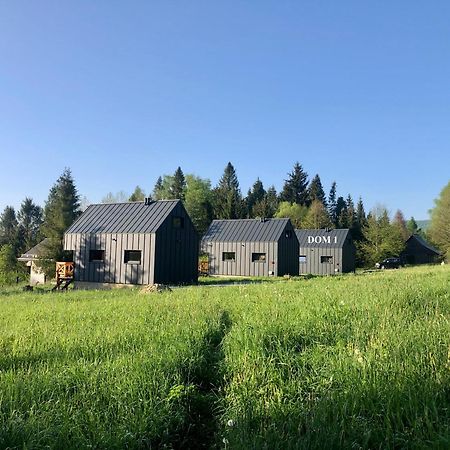 Villa Bieszczadzka Laka à Kalnica  Extérieur photo